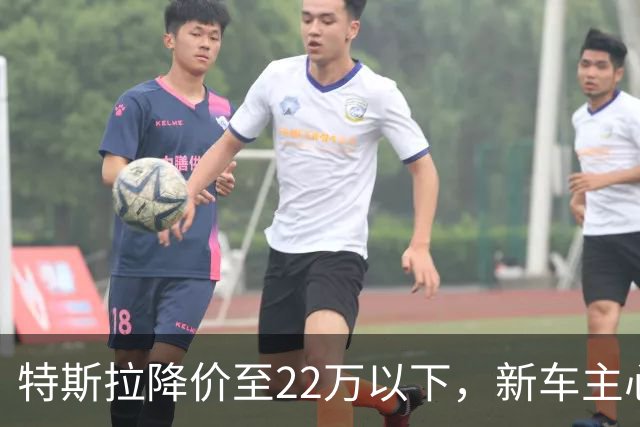 特斯拉降价至22万以下，新车主心情何在？